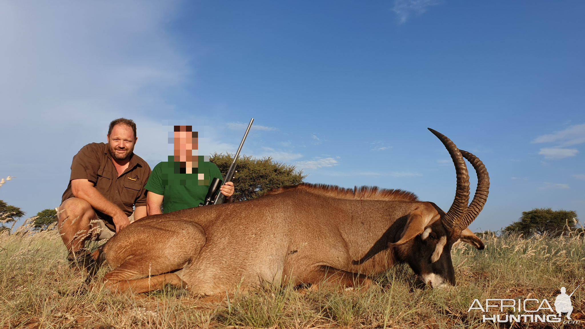 South Africa Hunting Roan