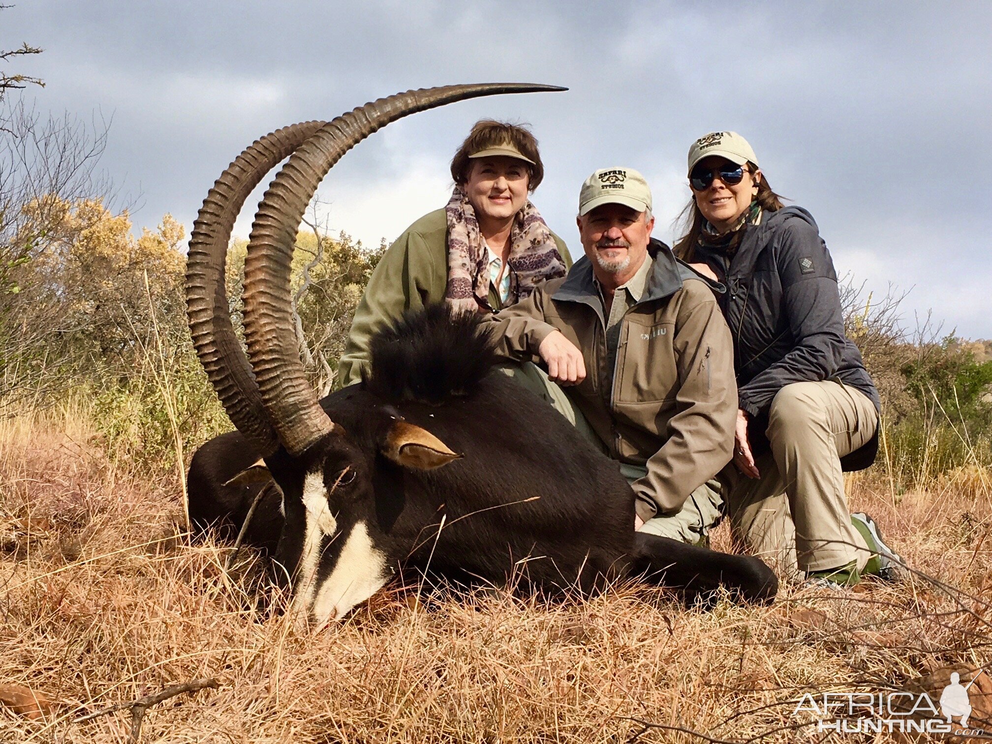 South Africa Hunting Sable Antelope