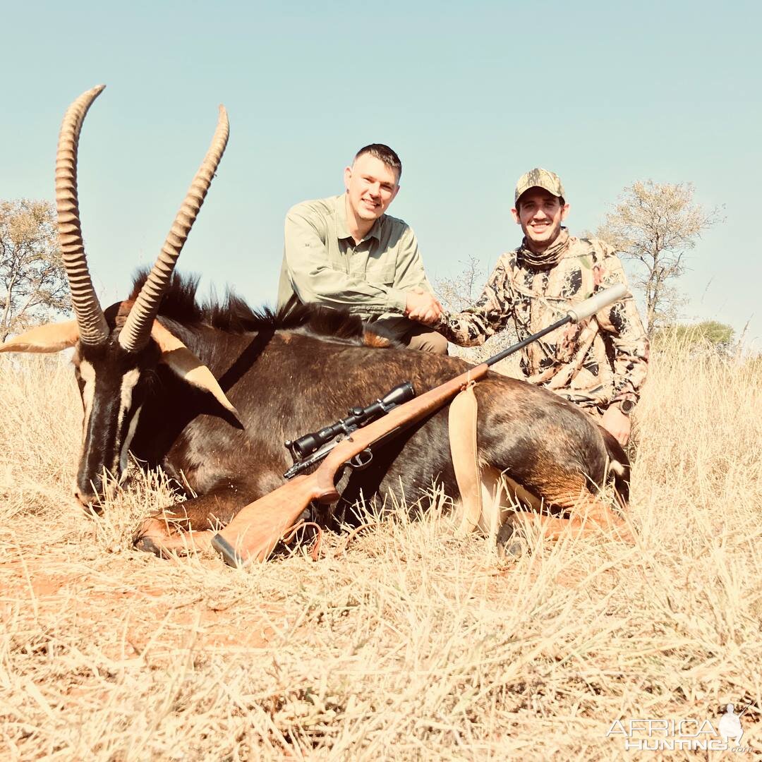 South Africa Hunting Sable Antelope