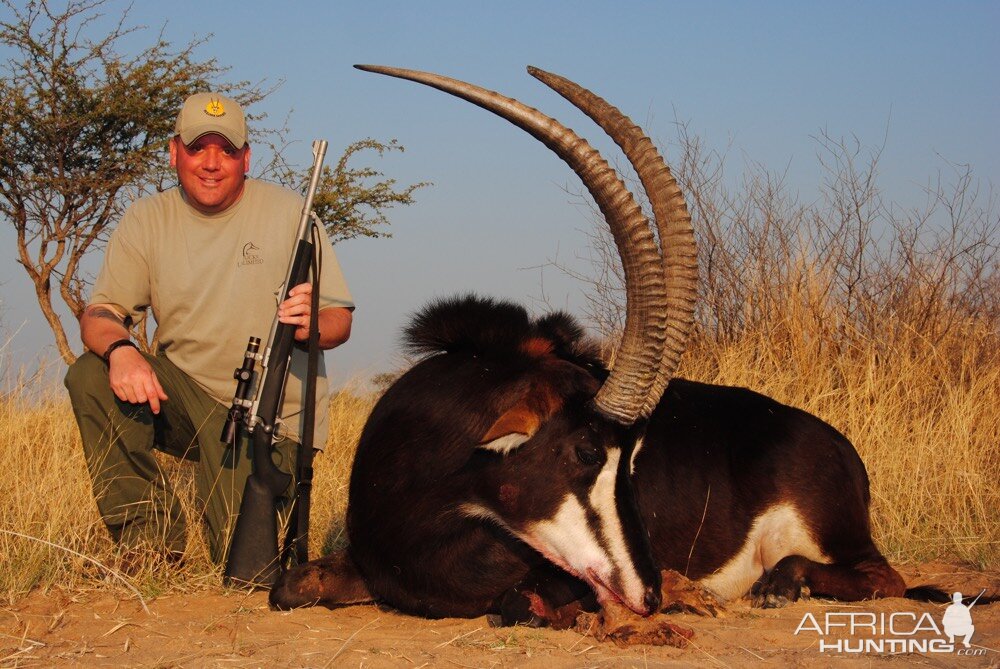 South Africa Hunting Sable Antelope