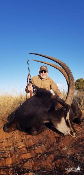 South Africa Hunting Sable Antelope