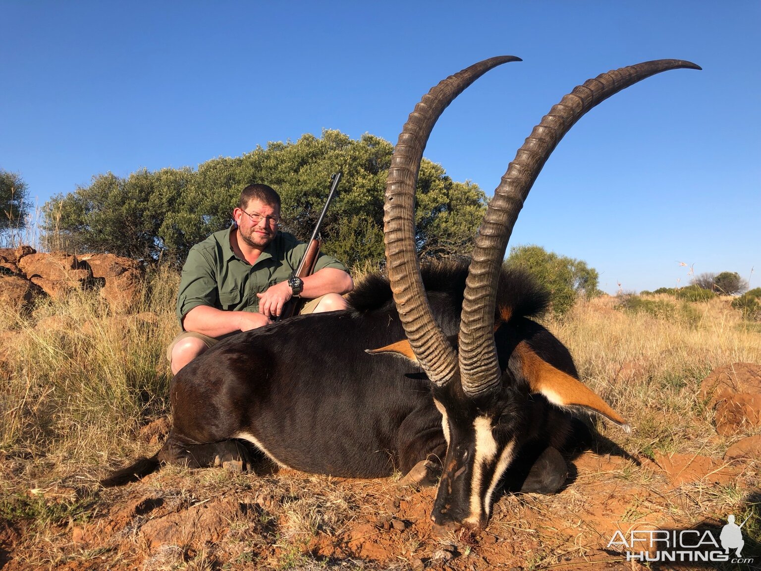 South Africa Hunting Sable Antelope