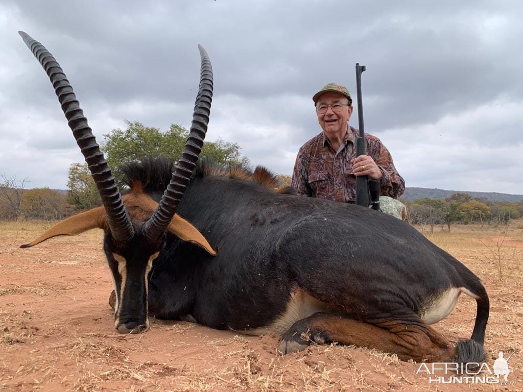 South Africa Hunting Sable Antelope