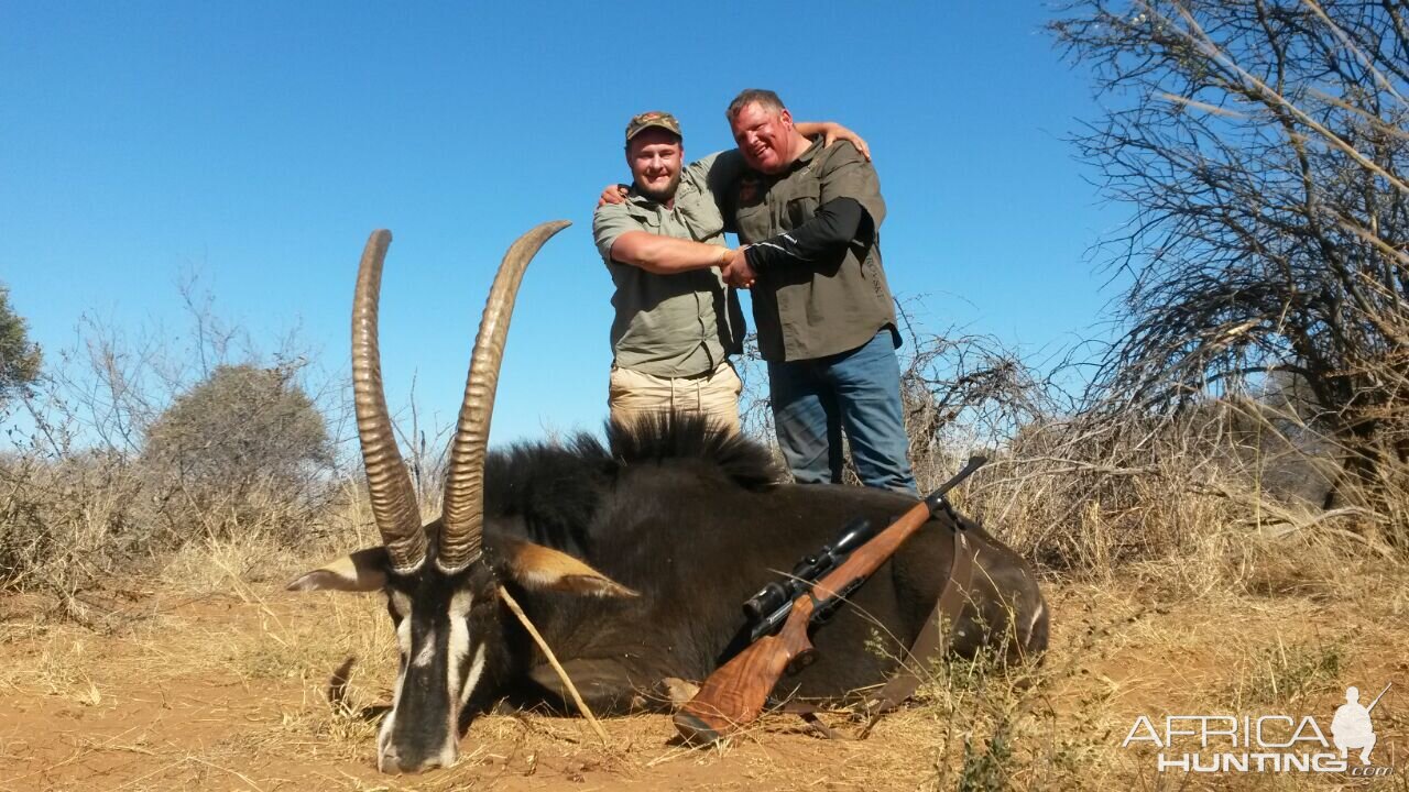 South Africa Hunting Sable Antelope