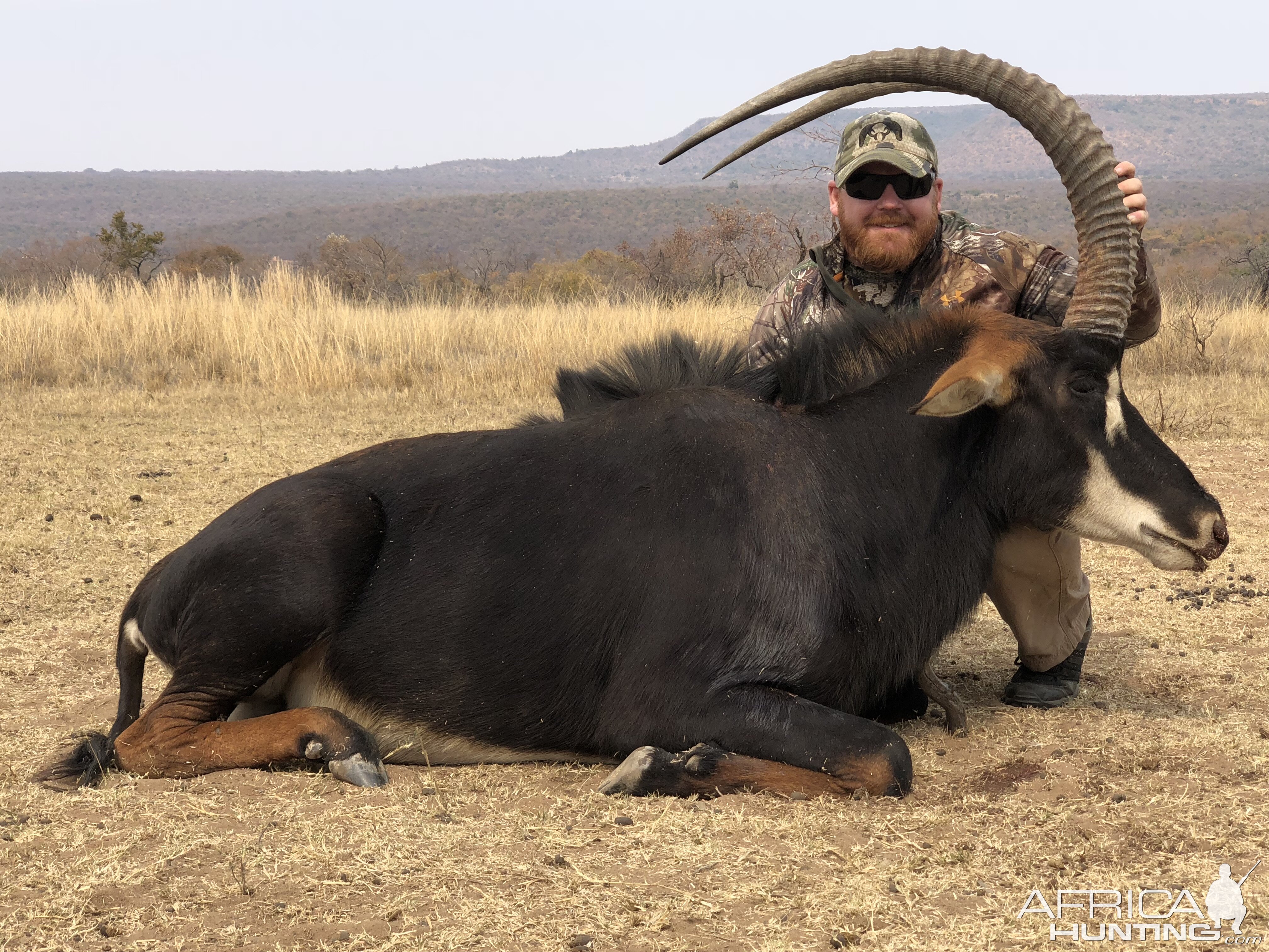 South Africa Hunting Sable