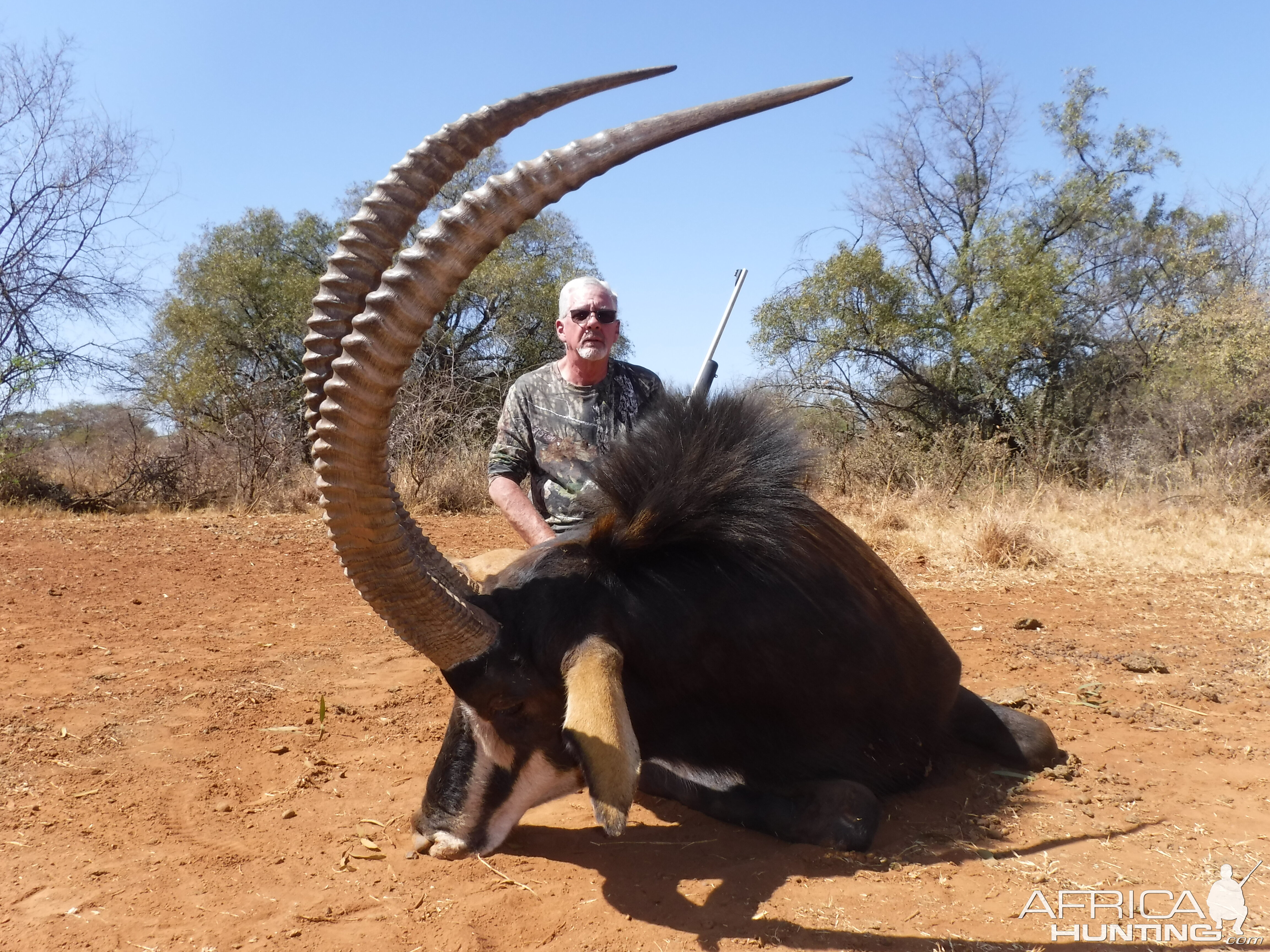 South Africa Hunting Sable