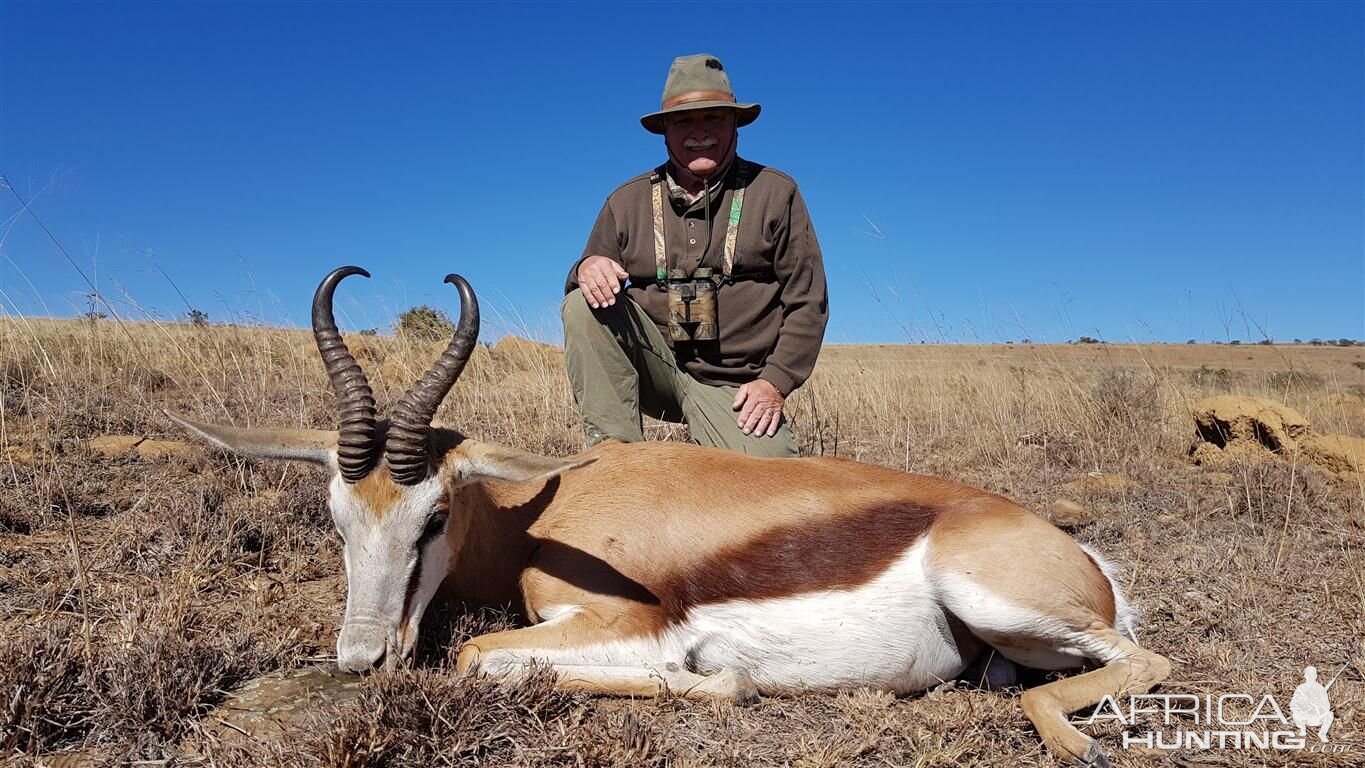 South Africa Hunting Springbok