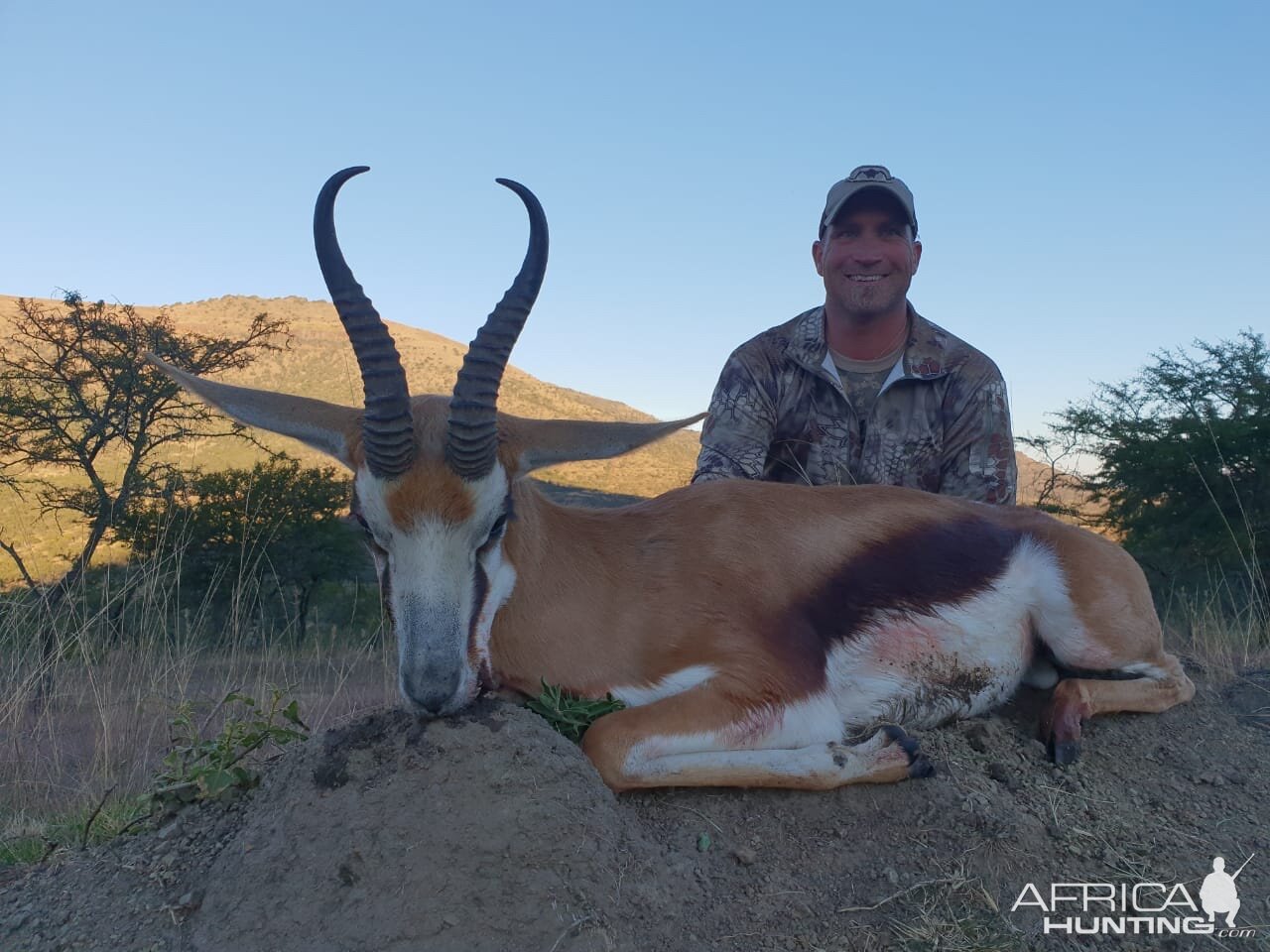 South Africa Hunting Springbok