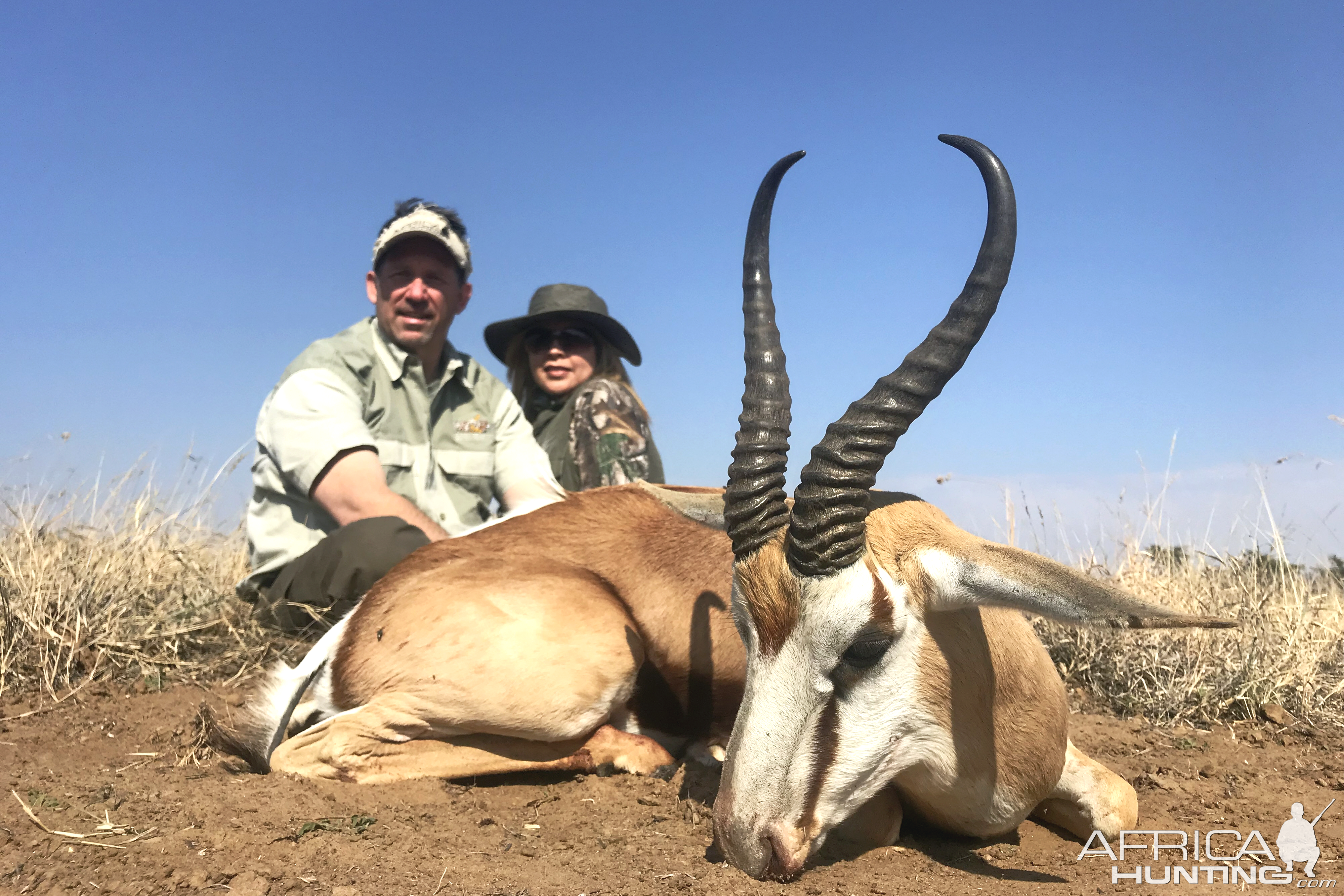 South Africa Hunting Springbok