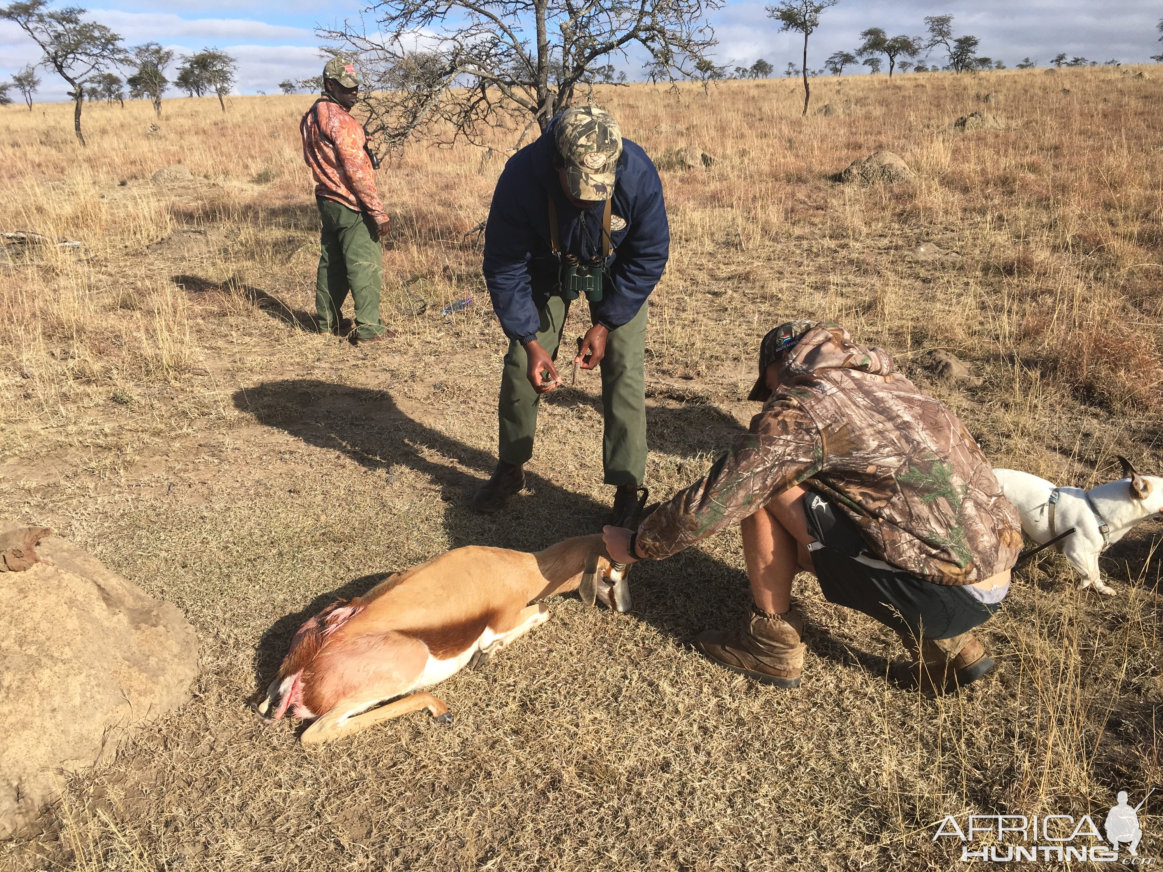 South Africa Hunting Springbok