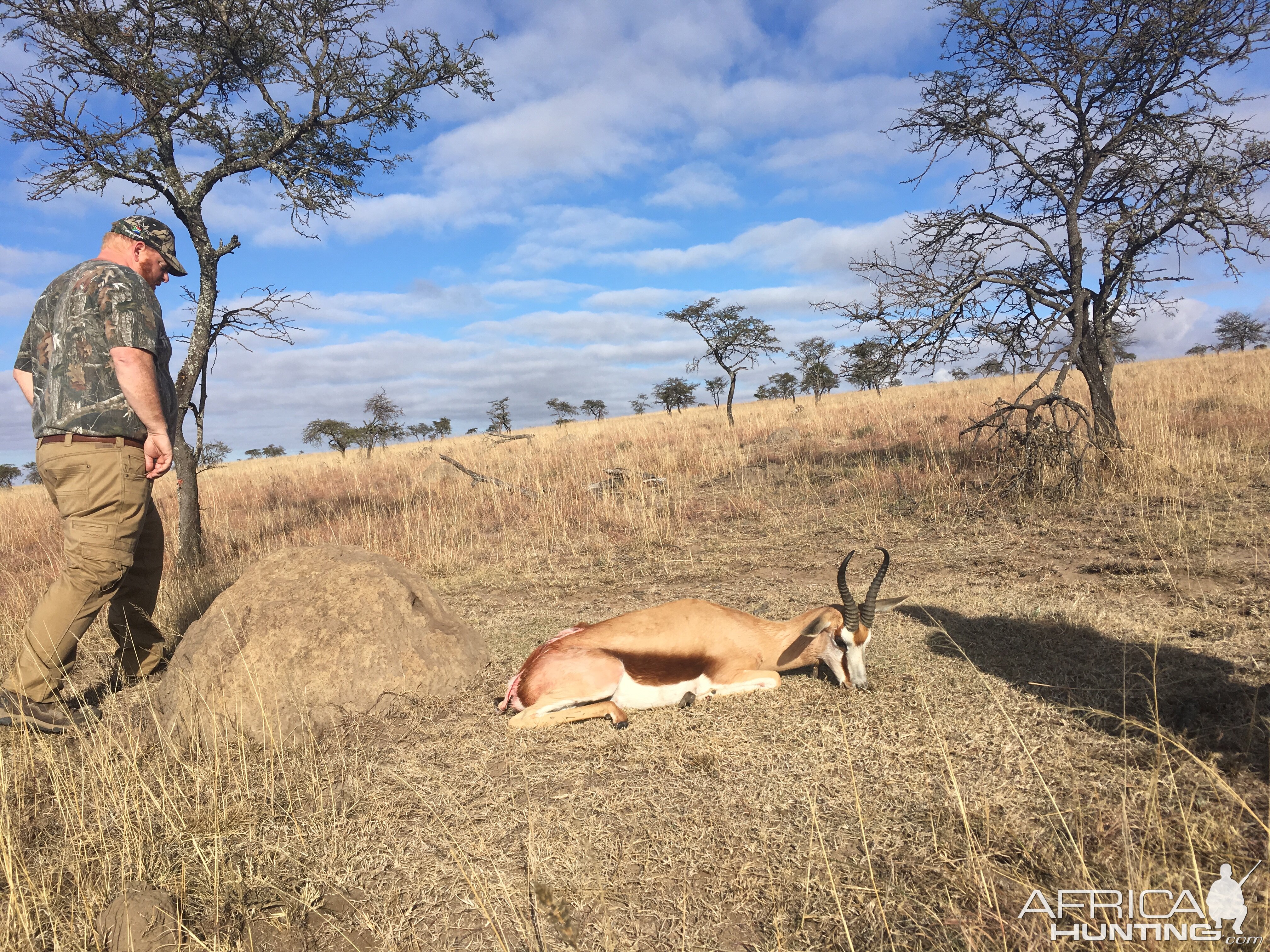 South Africa Hunting Springbok