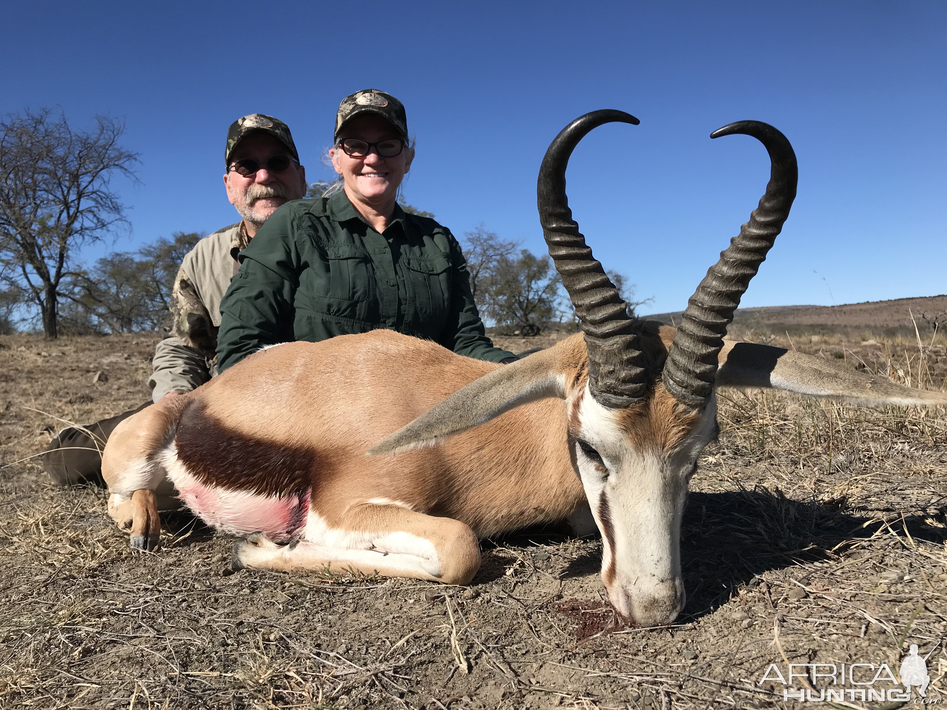 South Africa Hunting Springbok