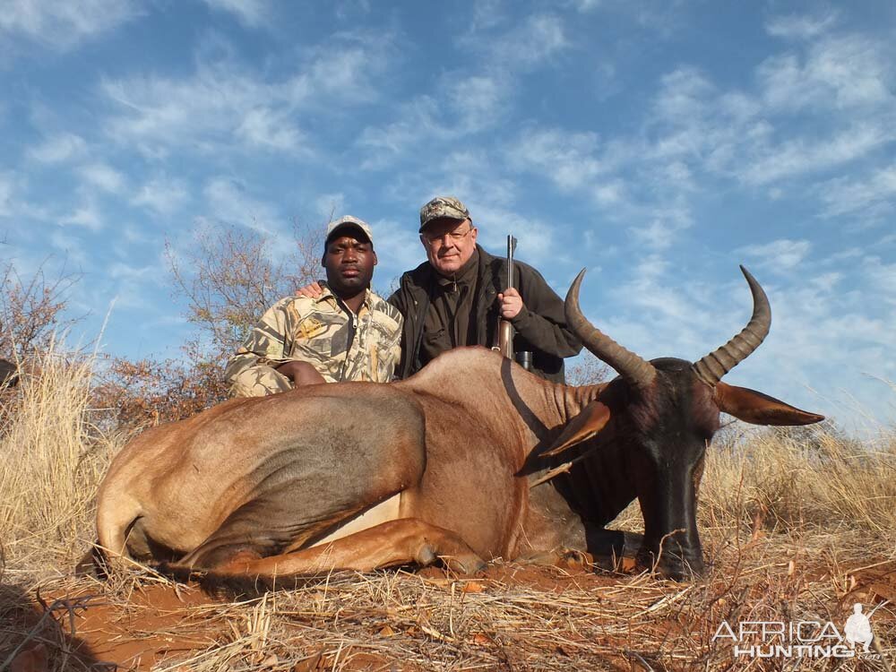 South Africa Hunting Tsessebe