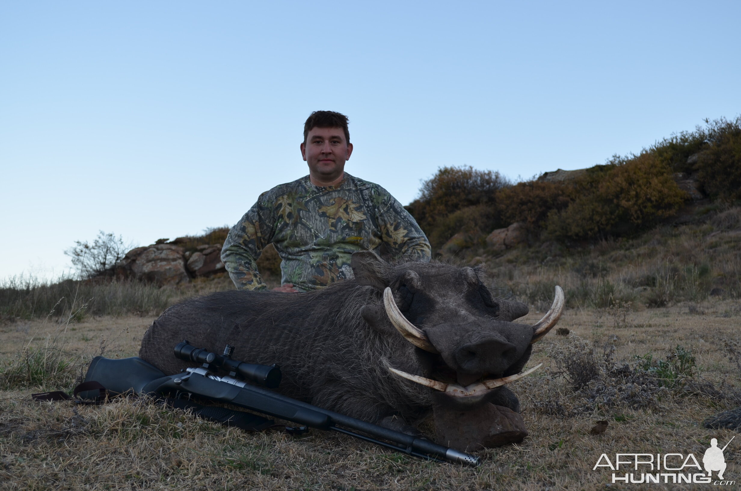 South Africa Hunting Warthog