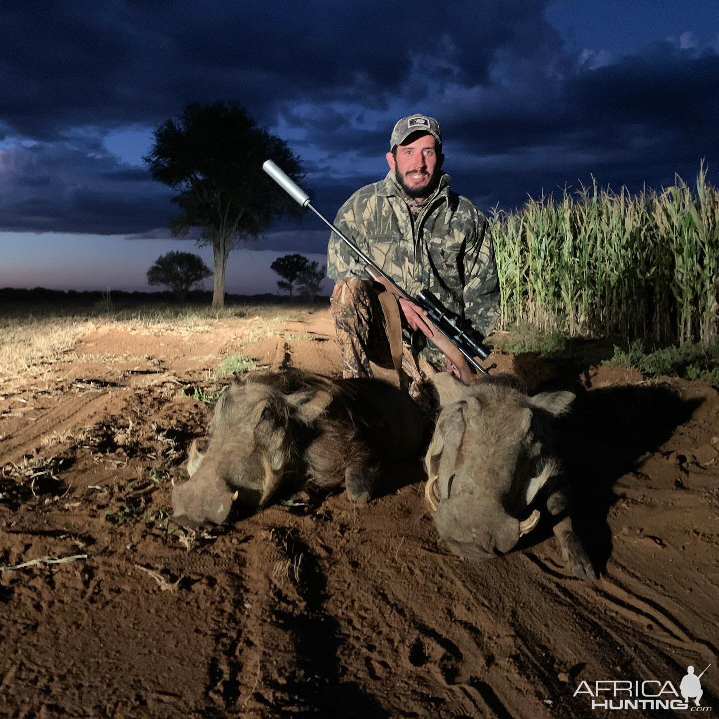 South Africa Hunting Warthog