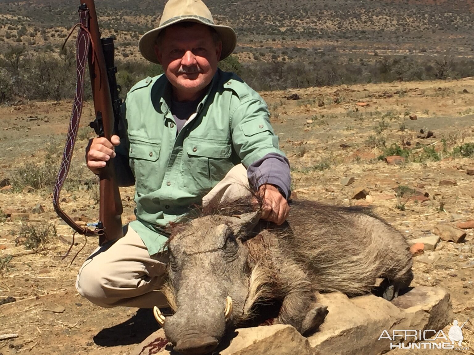 South Africa Hunting  Warthog