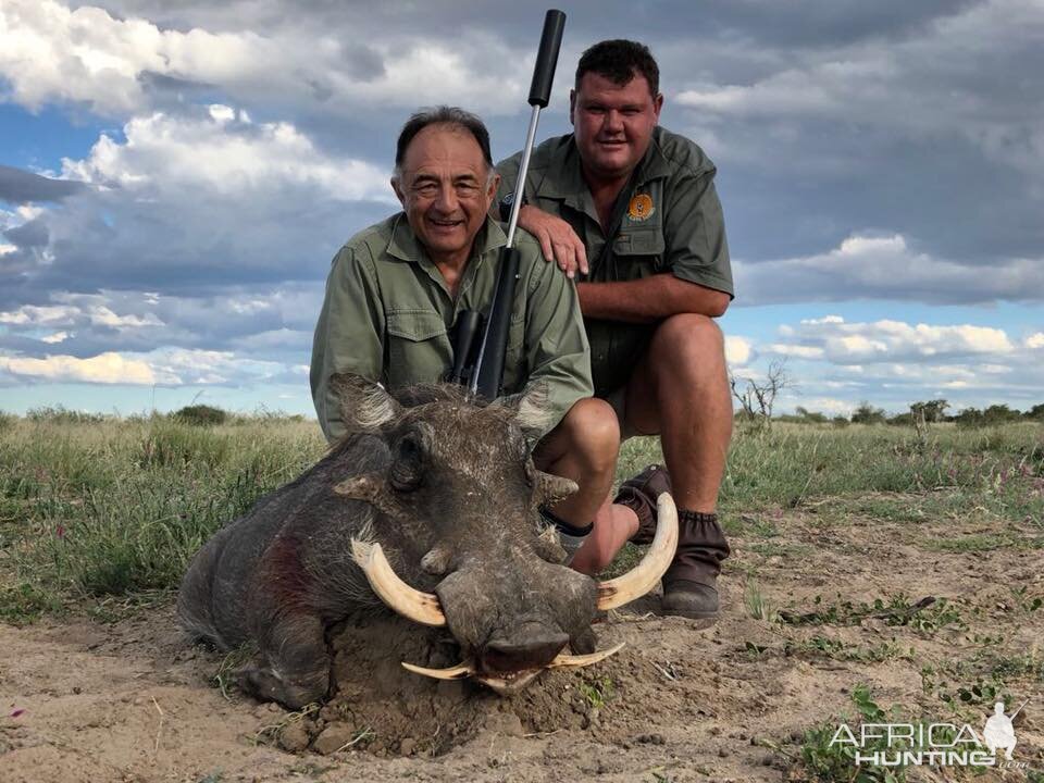 South Africa Hunting Warthog