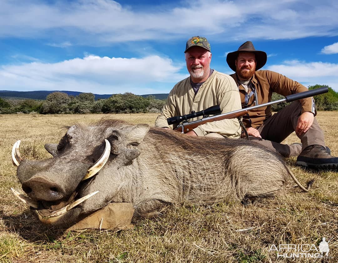 South Africa Hunting Warthog