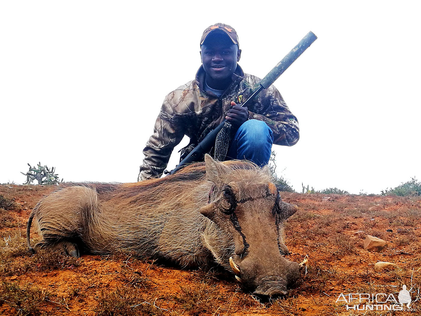 South Africa Hunting Warthog