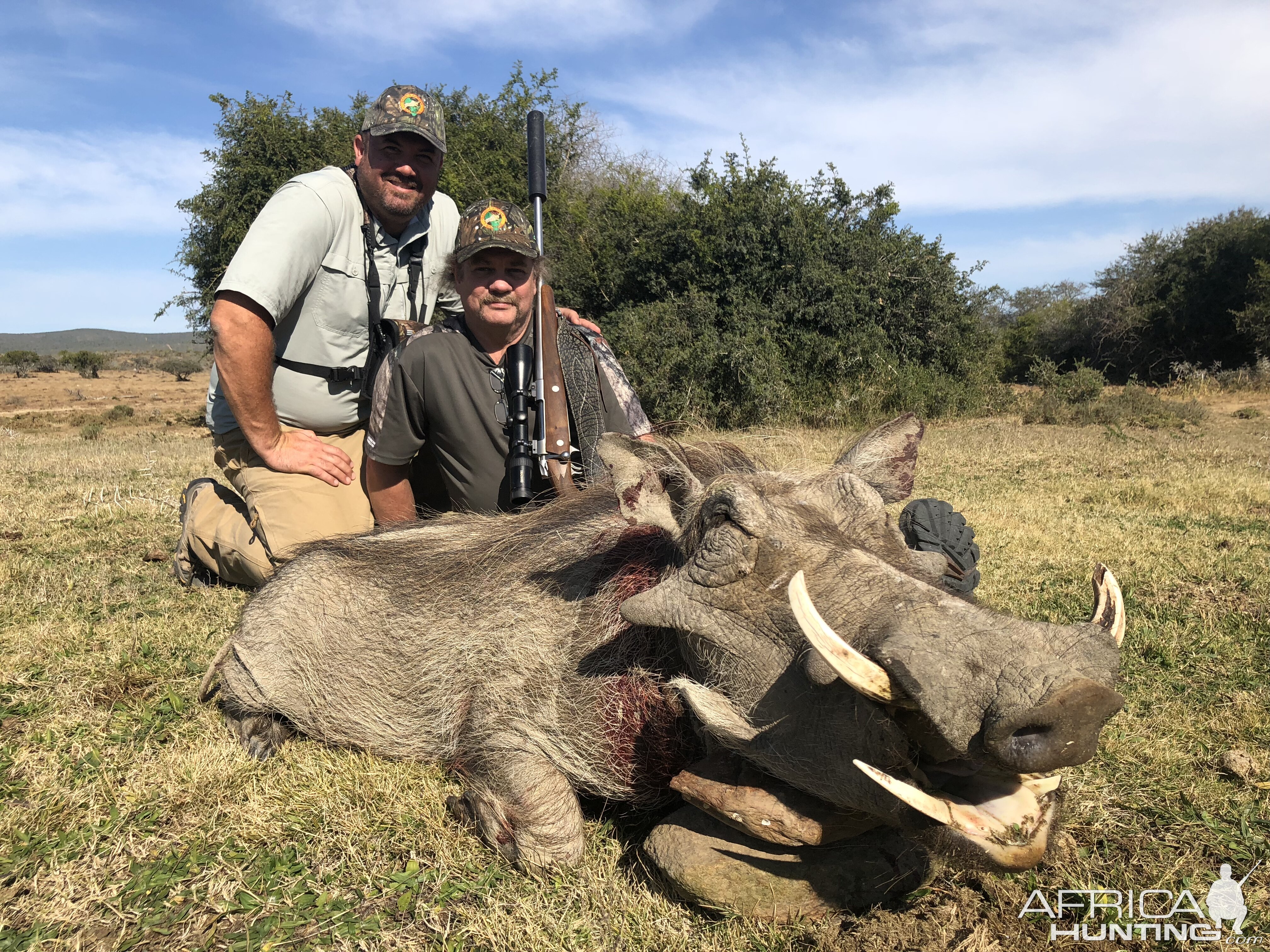 South Africa Hunting Warthog