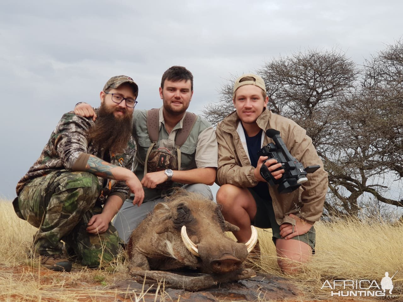 South Africa Hunting Warthog