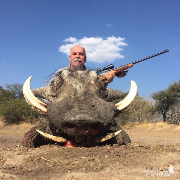 South Africa Hunting Warthog