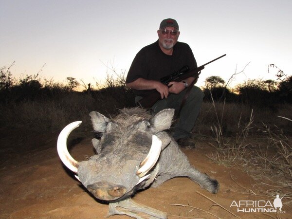 South Africa Hunting Warthog