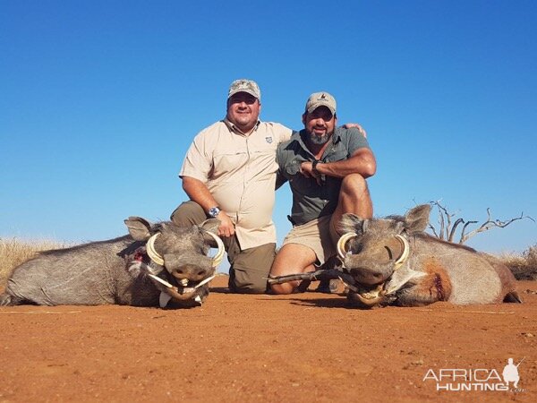 South Africa Hunting Warthog