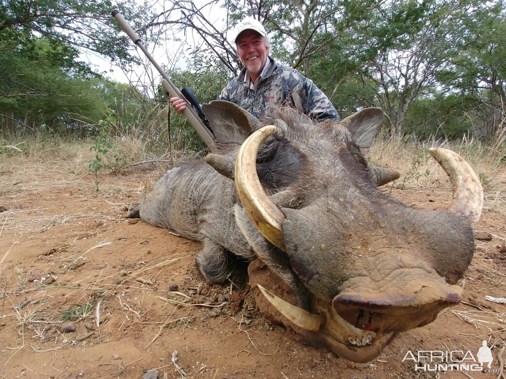 South Africa Hunting Warthog