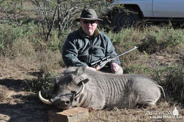 South Africa Hunting Warthog