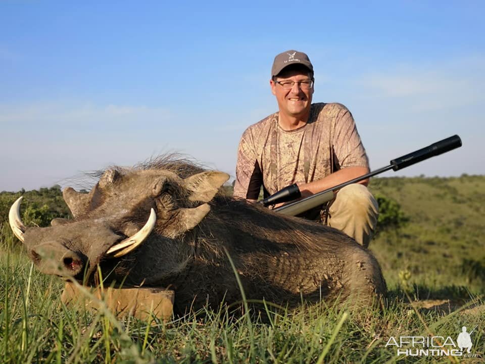 South Africa Hunting Warthog