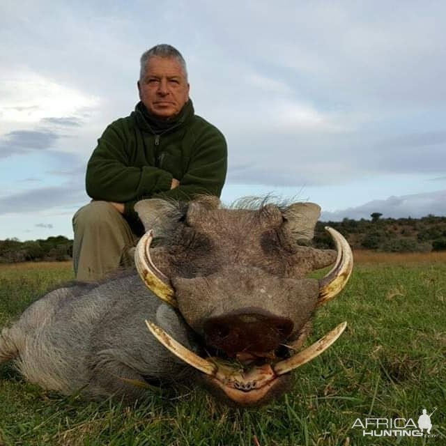 South Africa Hunting Warthog