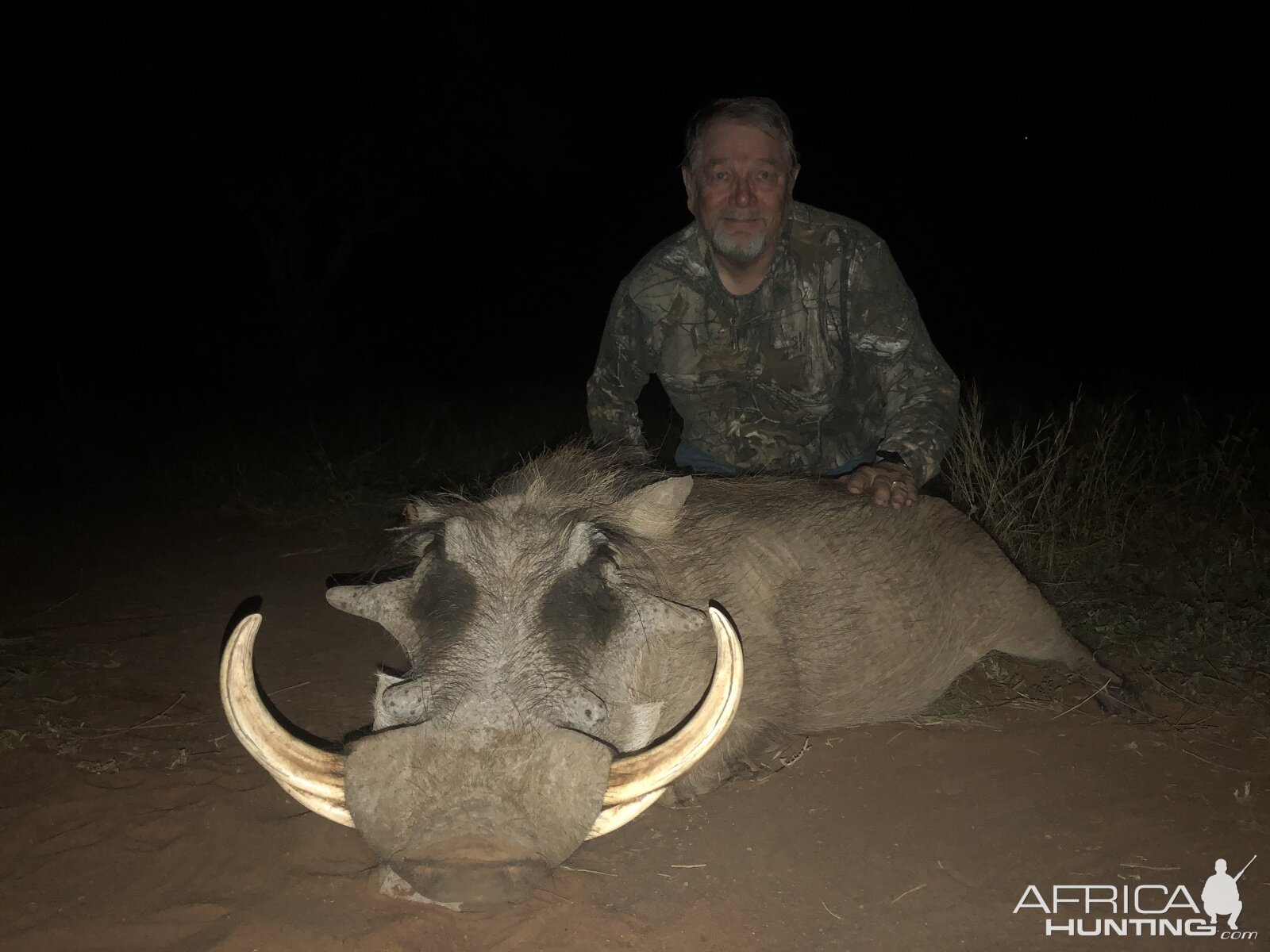 South Africa Hunting Warthog