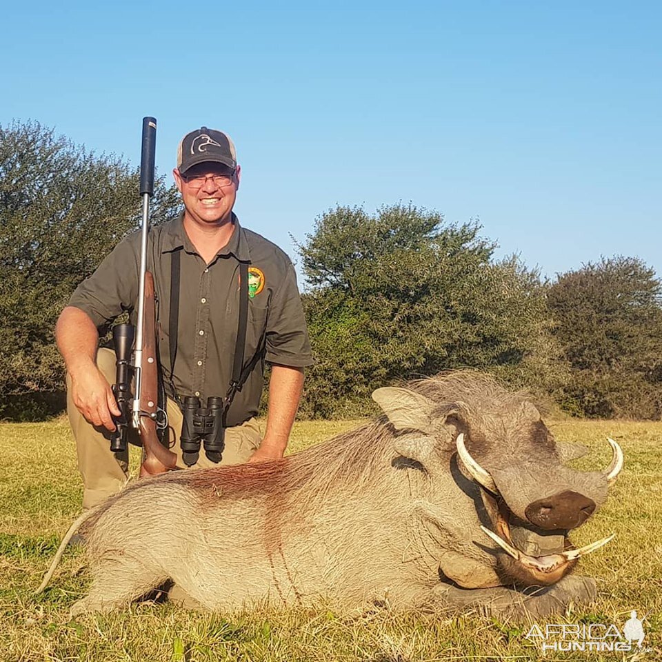 South Africa Hunting Warthog