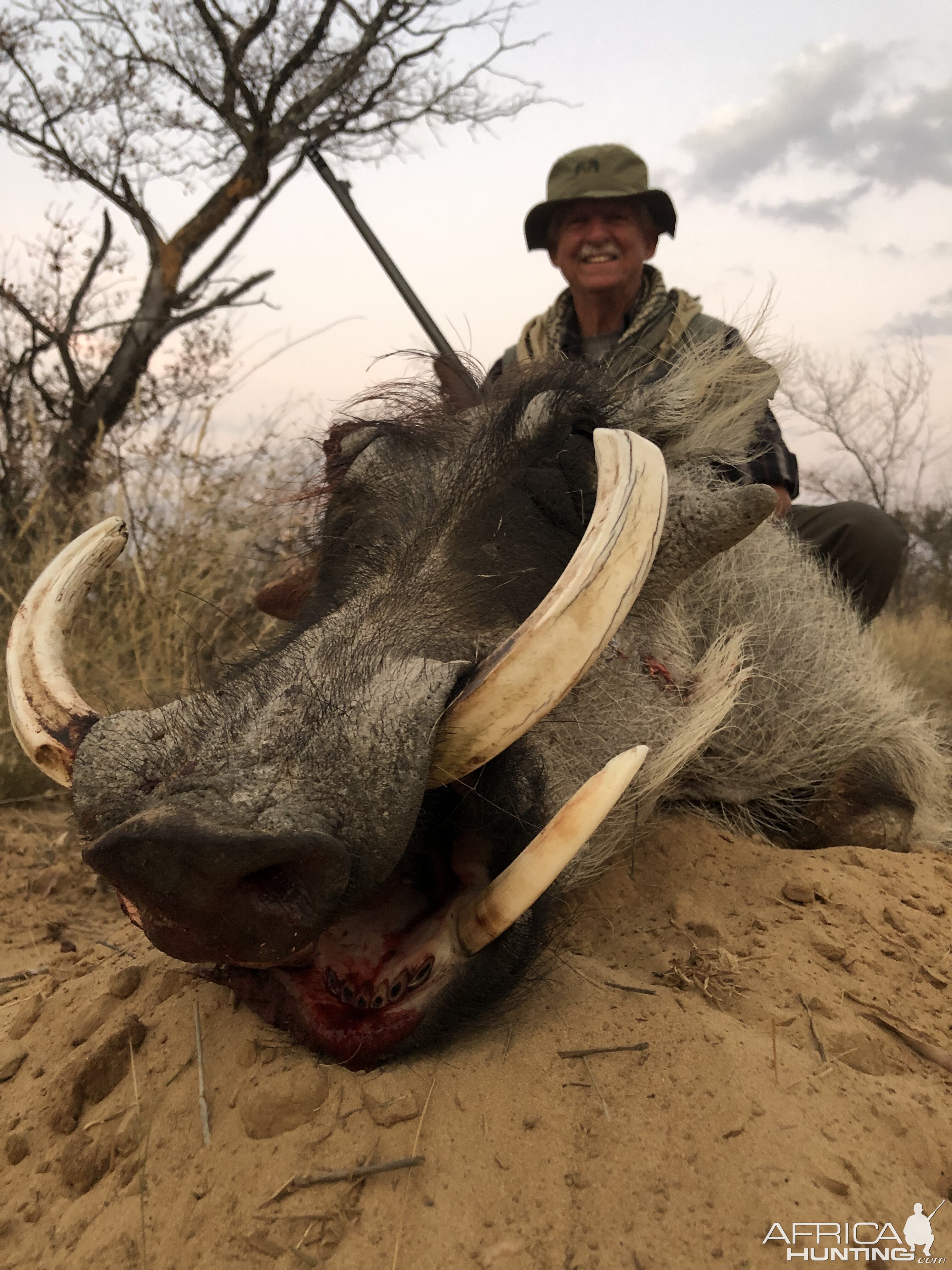 South Africa Hunting Warthog