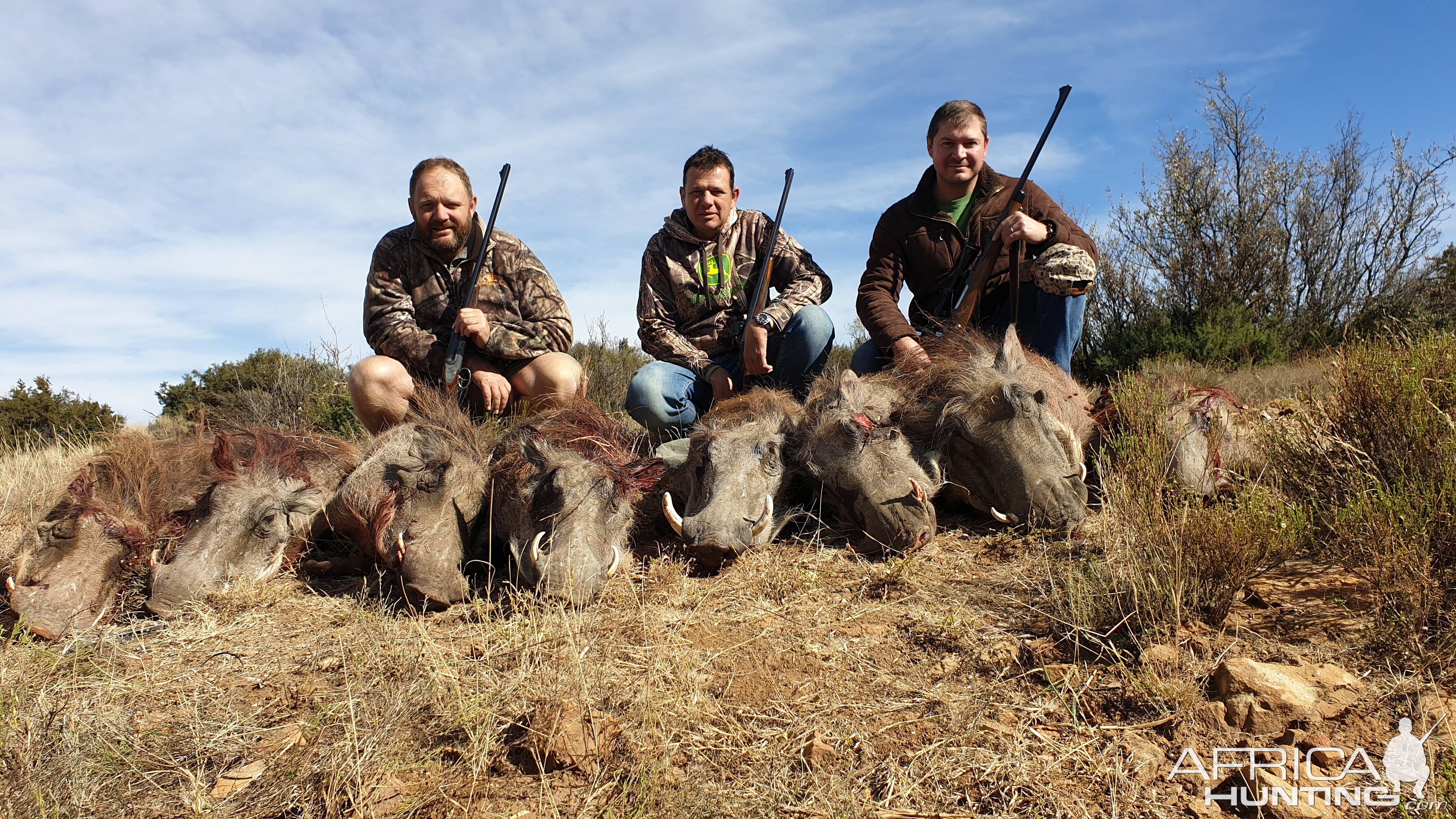 South Africa Hunting Warthog