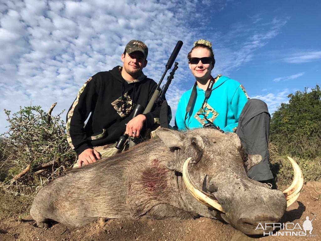 South Africa Hunting Warthog