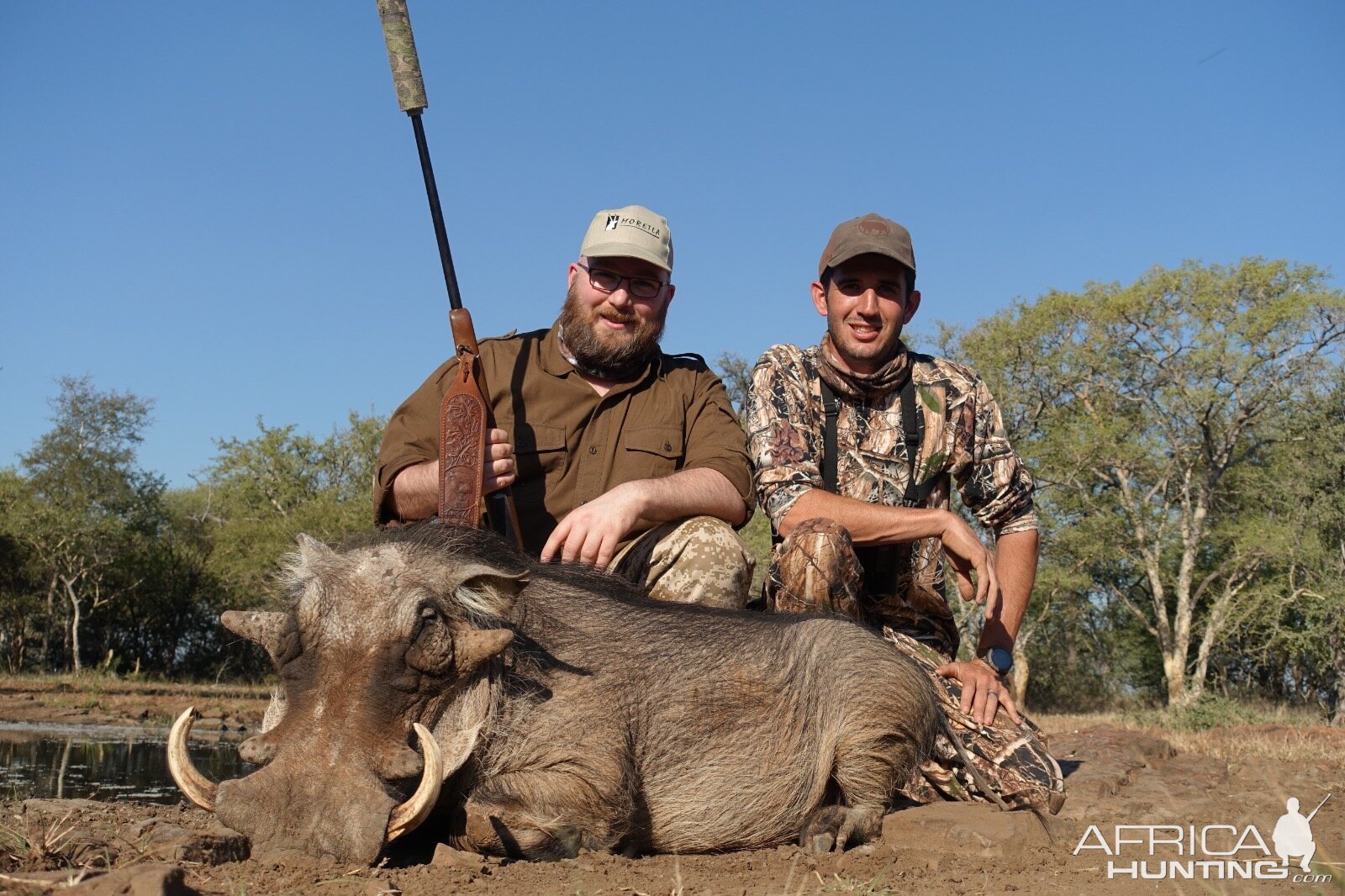 South Africa Hunting Warthog