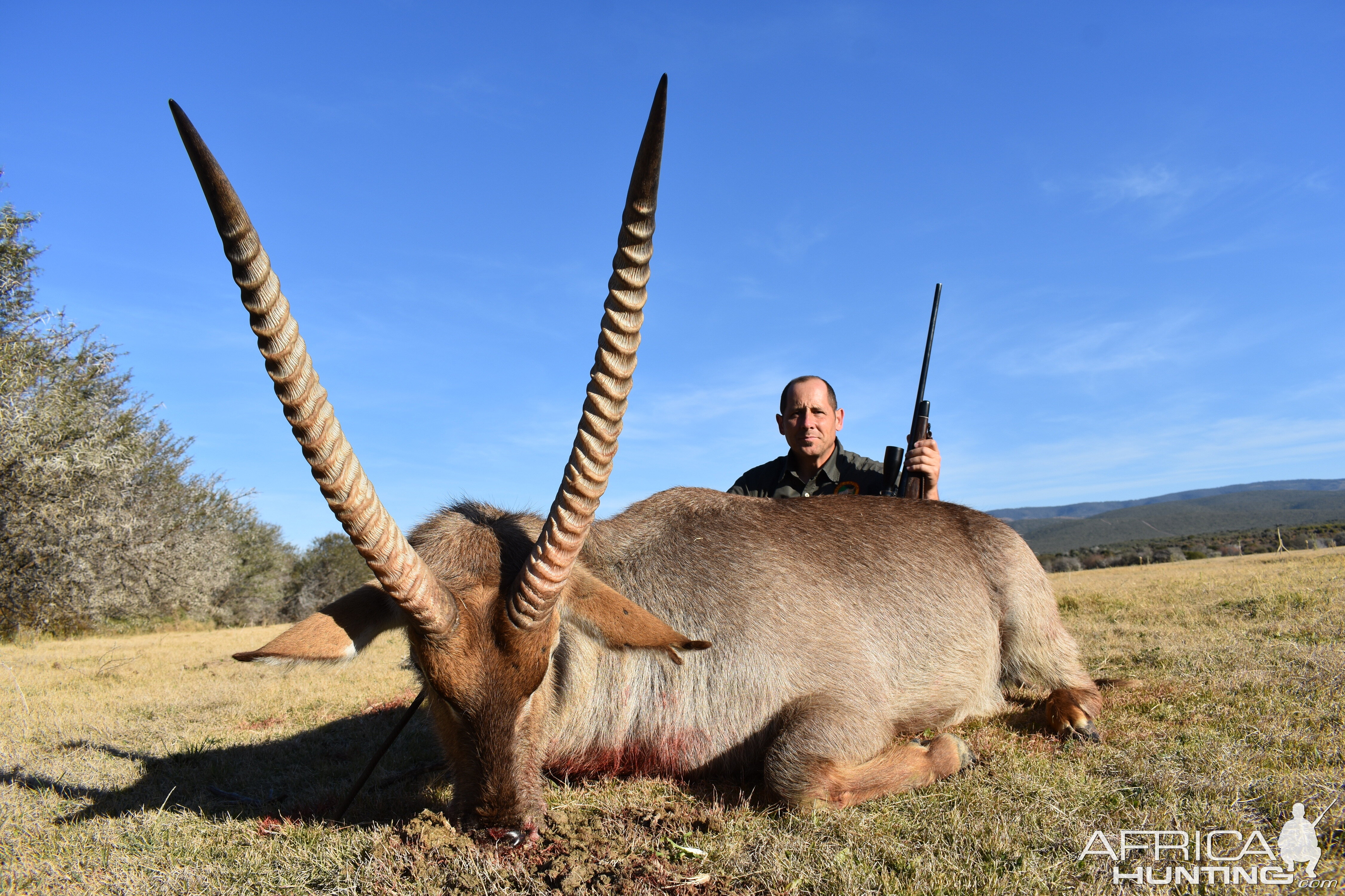 South Africa Hunting Waterbuck