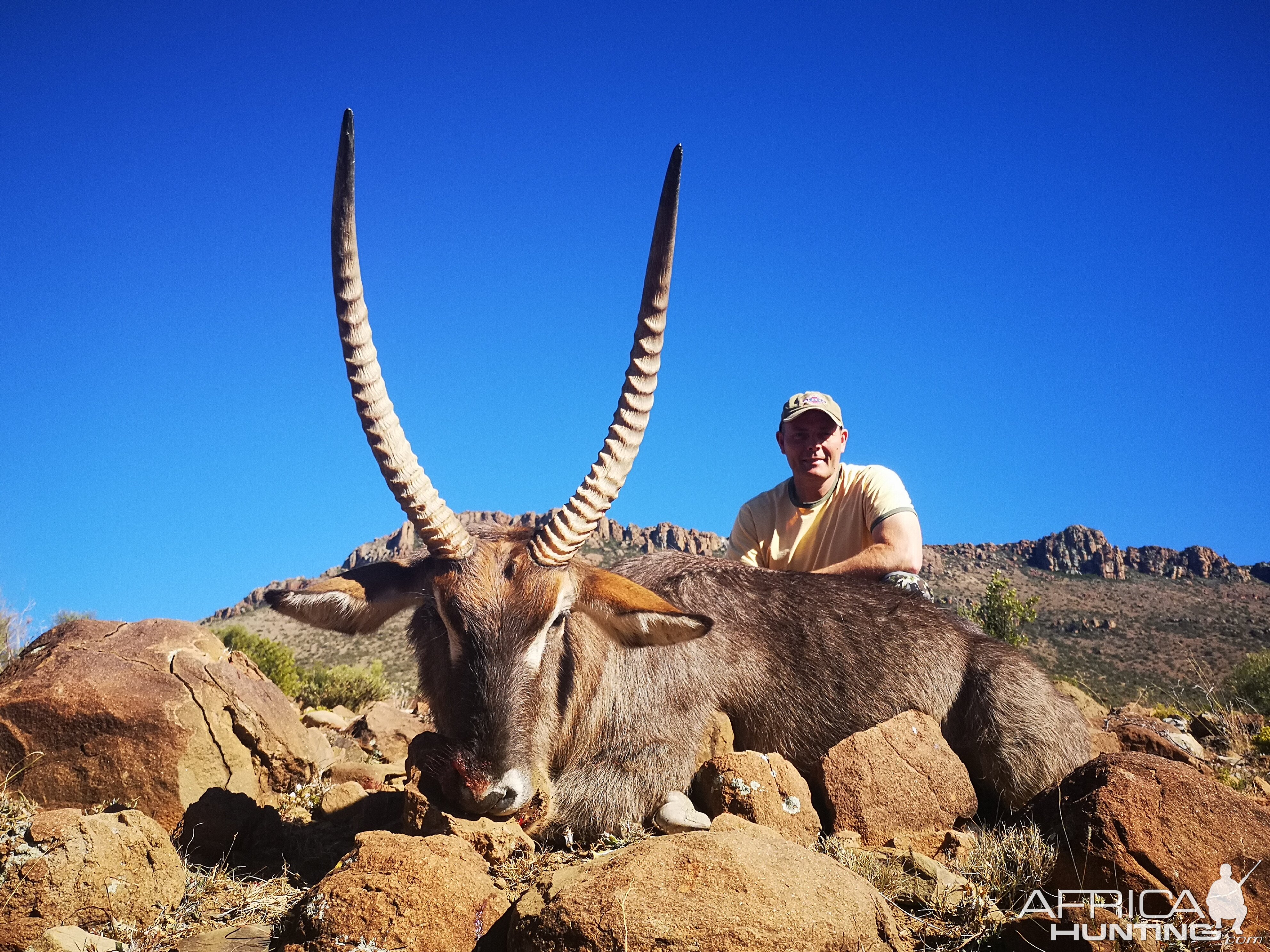 South Africa Hunting Waterbuck