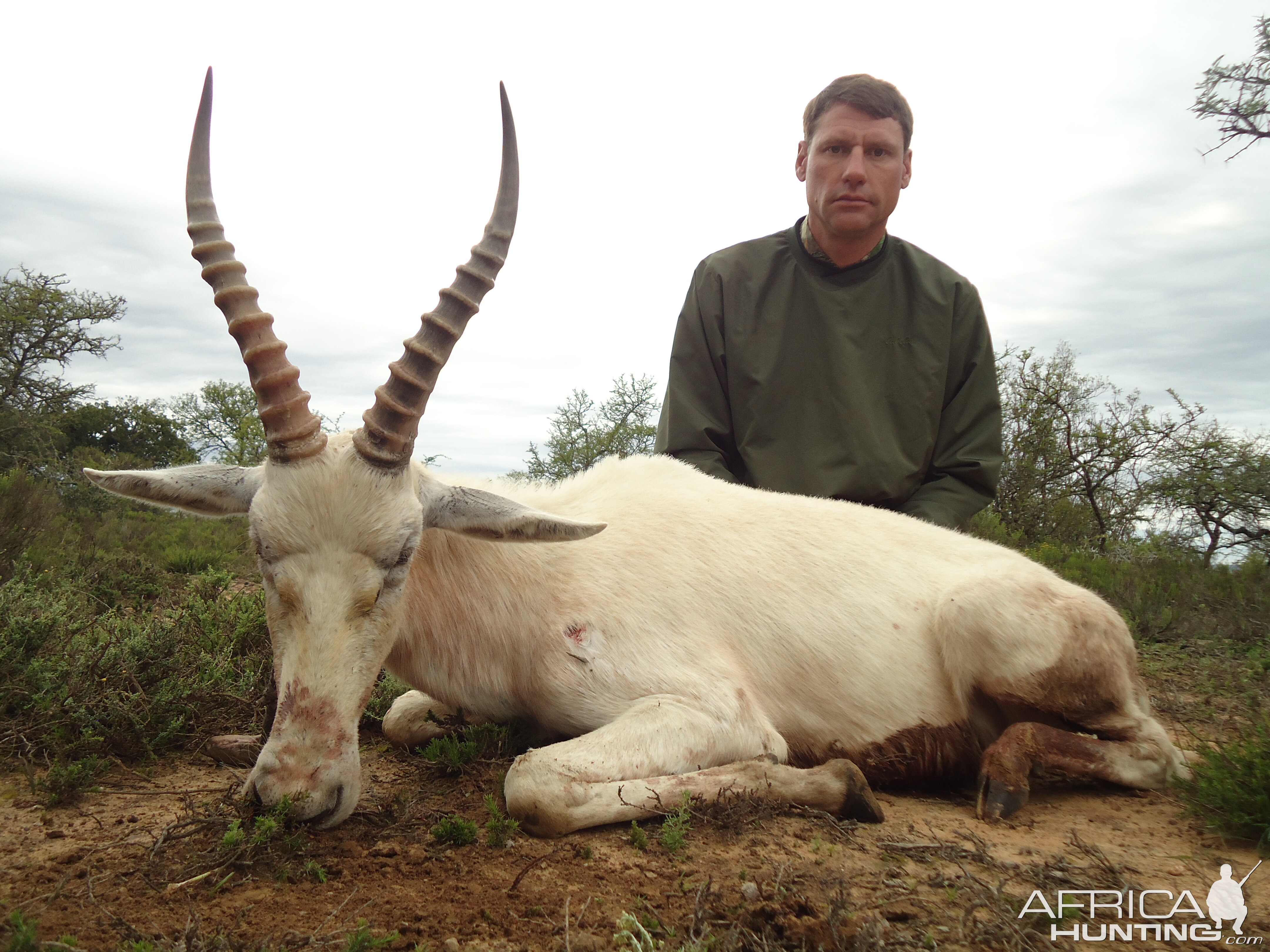 South Africa Hunting White Blesbok