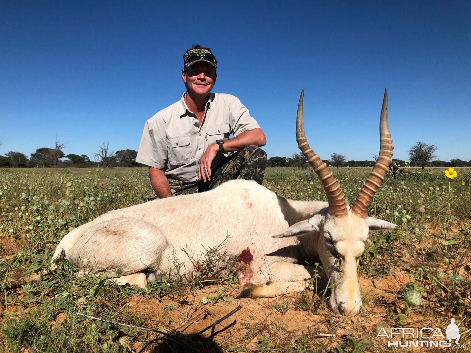 South Africa Hunting White Blesbok