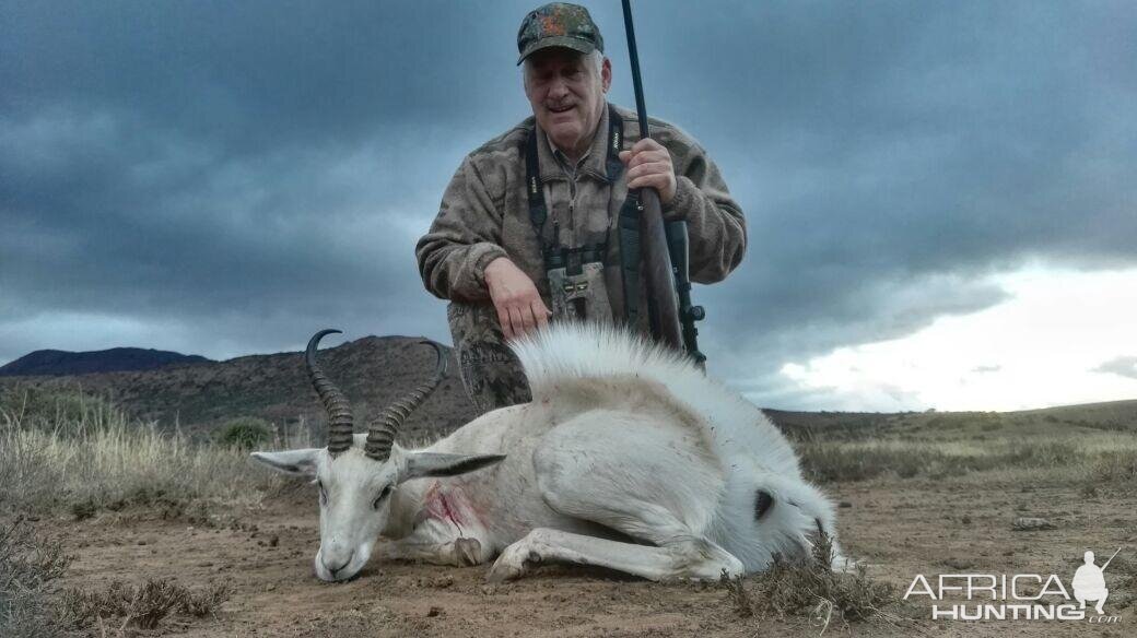 South Africa Hunting White Springbok