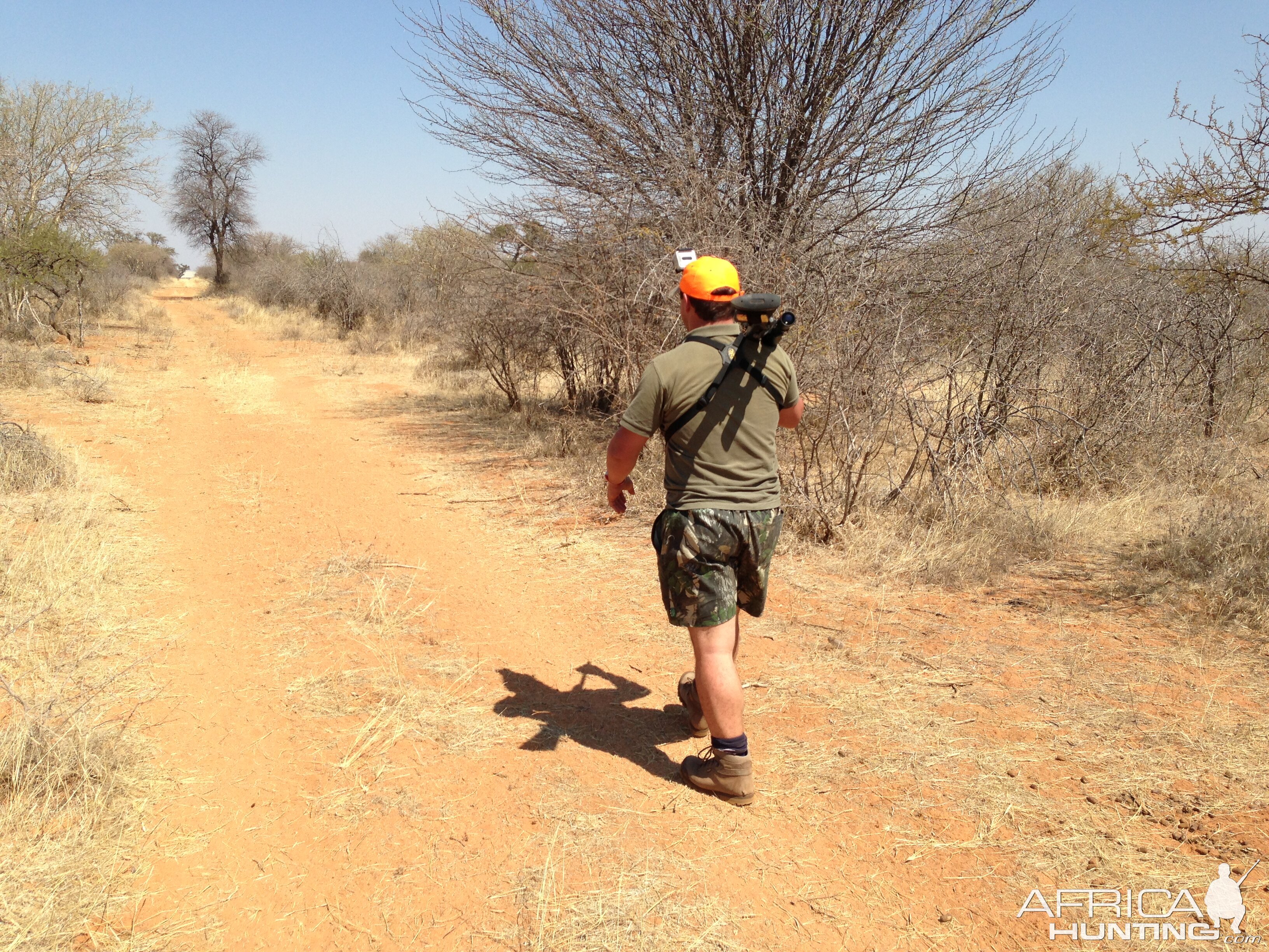 South Africa Hunting