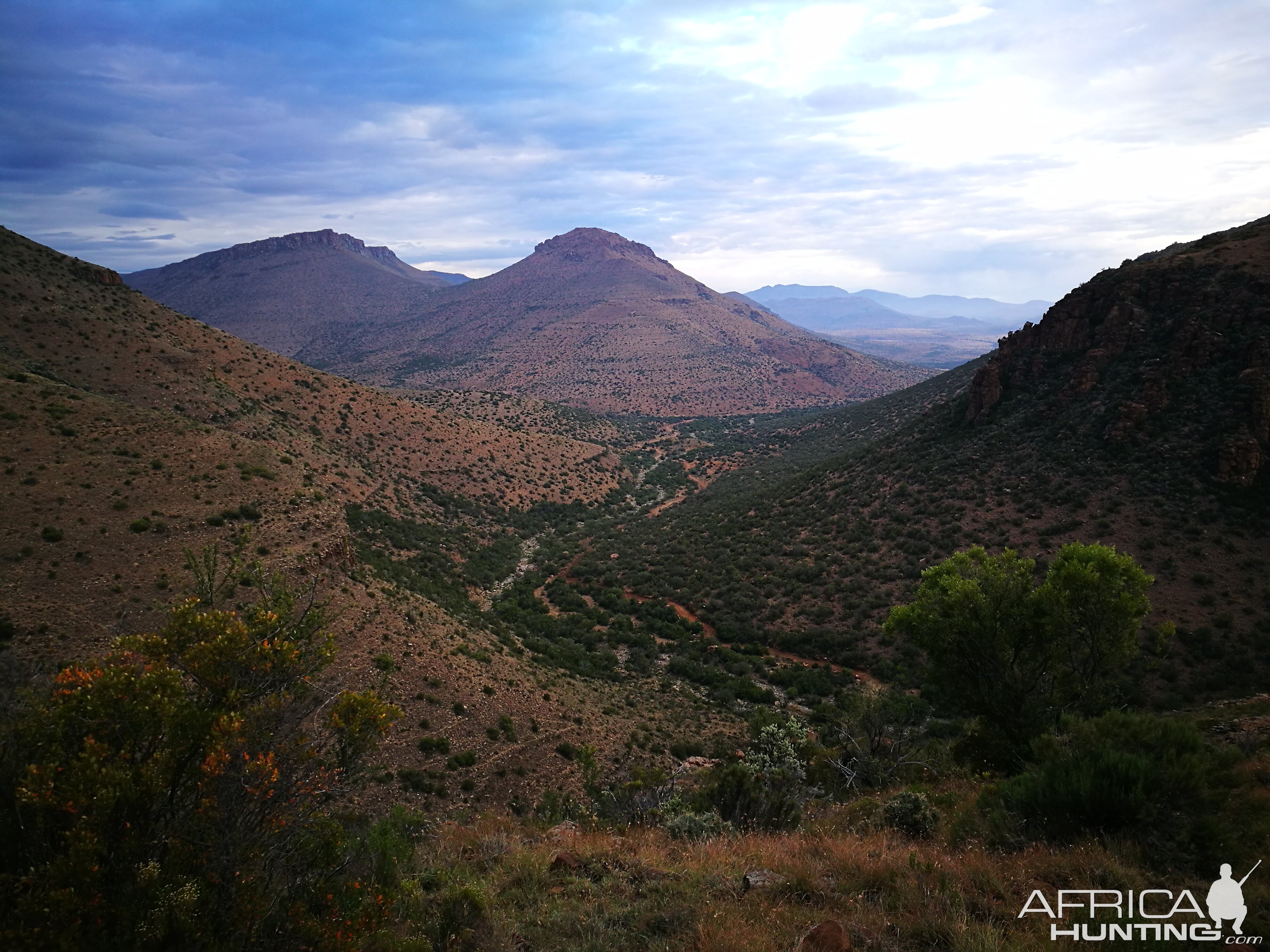 South Africa Hunting