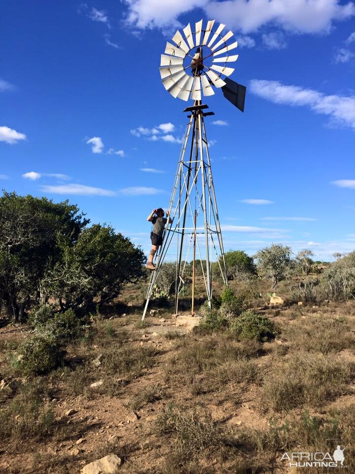 South Africa Hunting