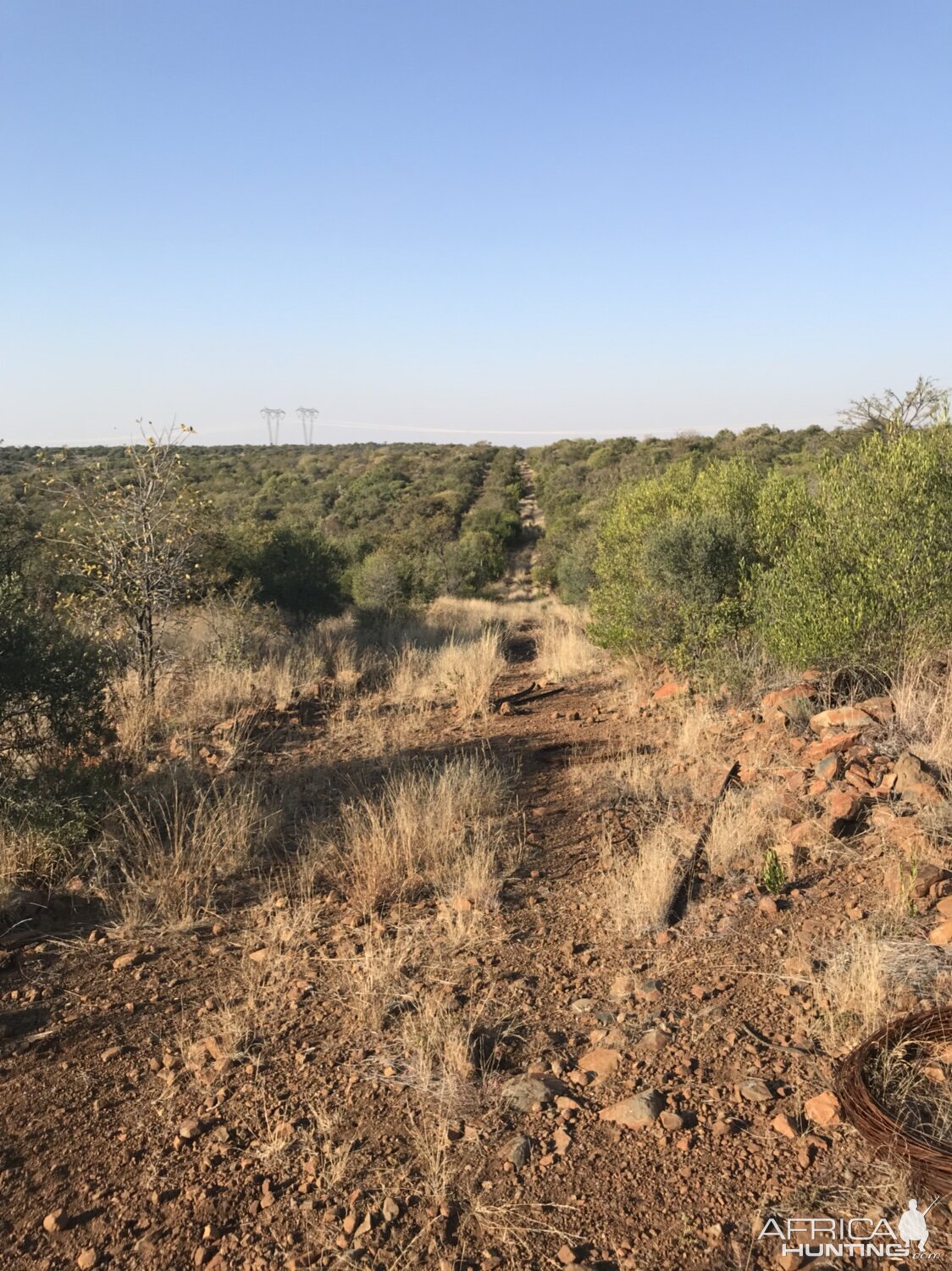 South Africa Hunting