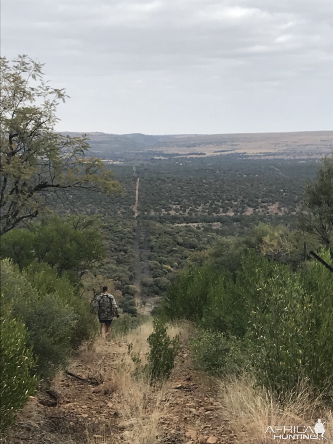 South Africa Hunting