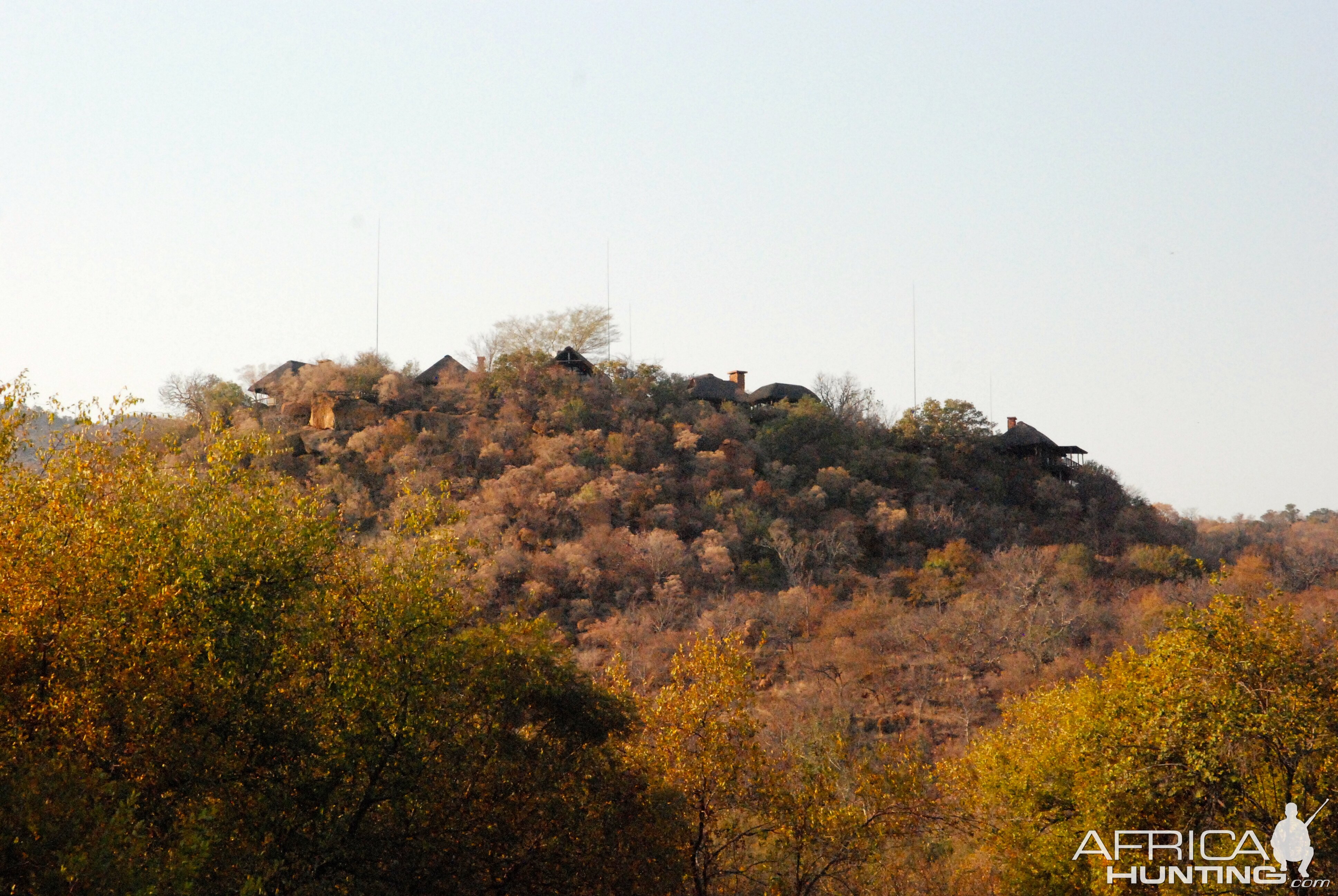 South Africa Hunting