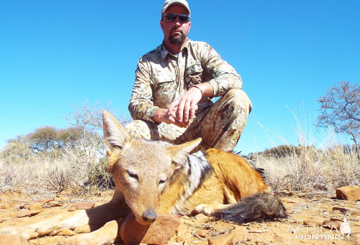 South Africa Jackal Hunt